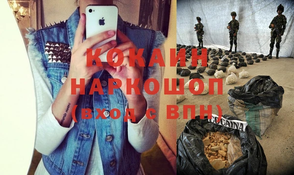 мдпв Карпинск