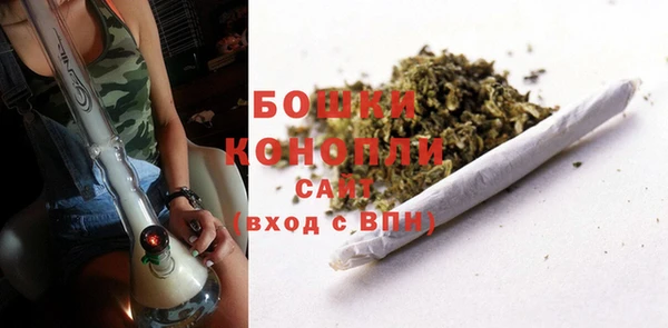 гашик Карталы