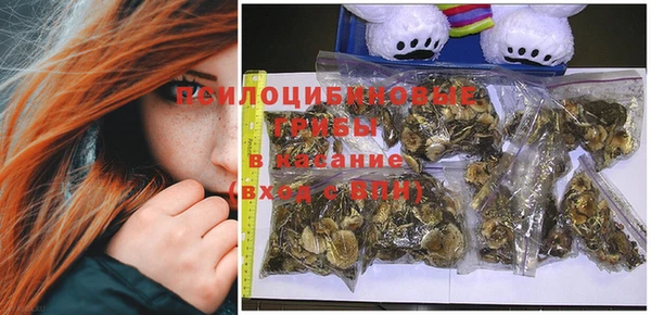 гашик Карталы