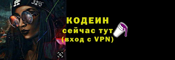 мдпв Карпинск