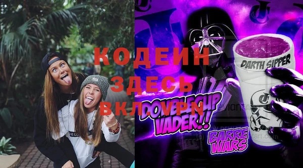 мдпв Карпинск
