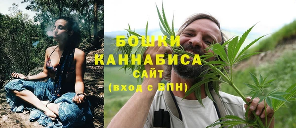 мдпв Карпинск