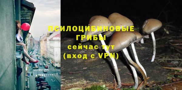 метадон Касимов