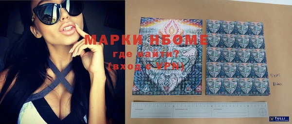 мдпв Карпинск