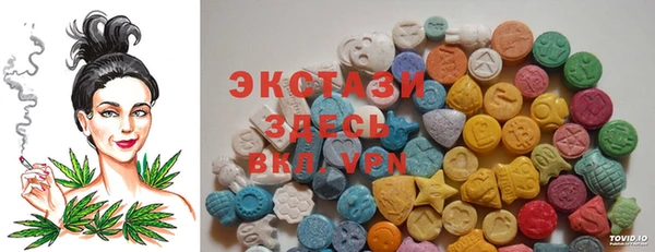 мдпв Карпинск